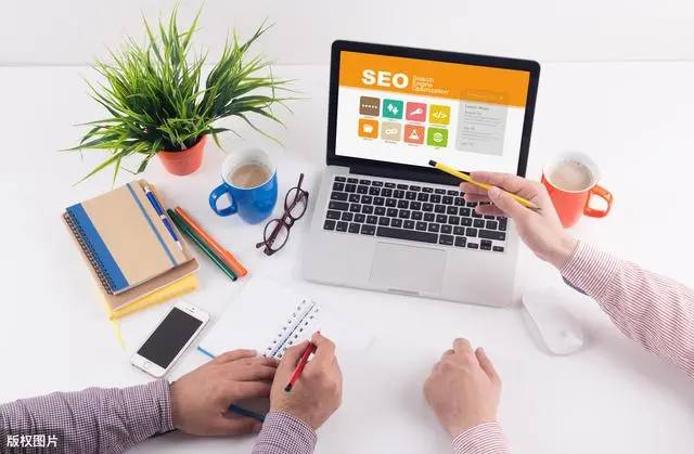 宠物店起火宠物无一生还